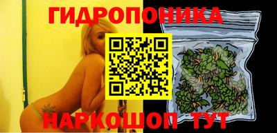 хмурый Малоярославец