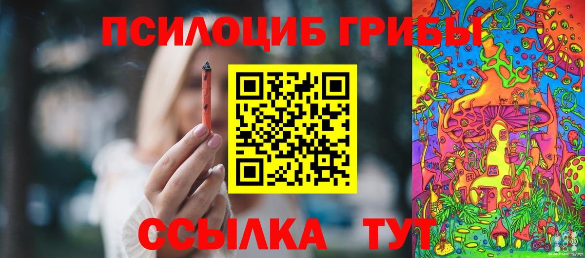 Псилоцибиновые грибы Cubensis Верхняя Салда