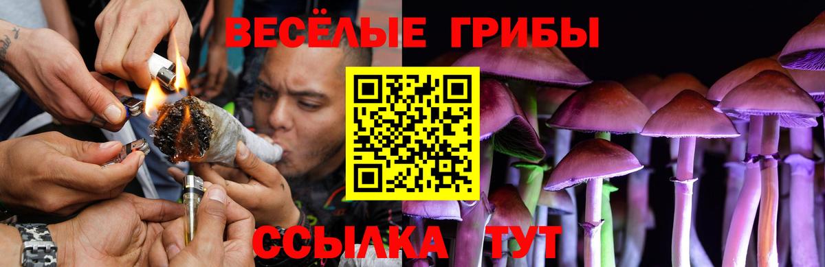 Верхняя Салда  Псилоцибиновые грибы MAGIC MUSHROOMS  Вход с VPN 